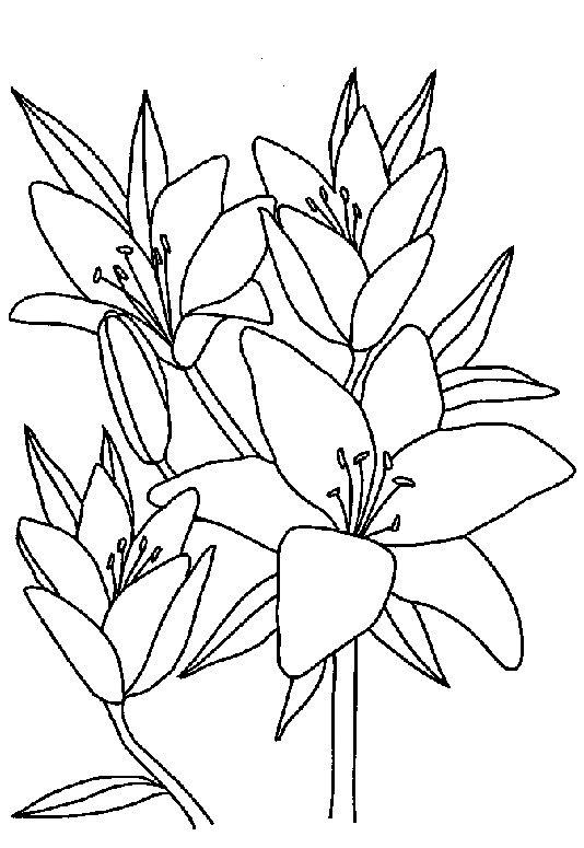 Plansa de colorat cu Primavara 65 92